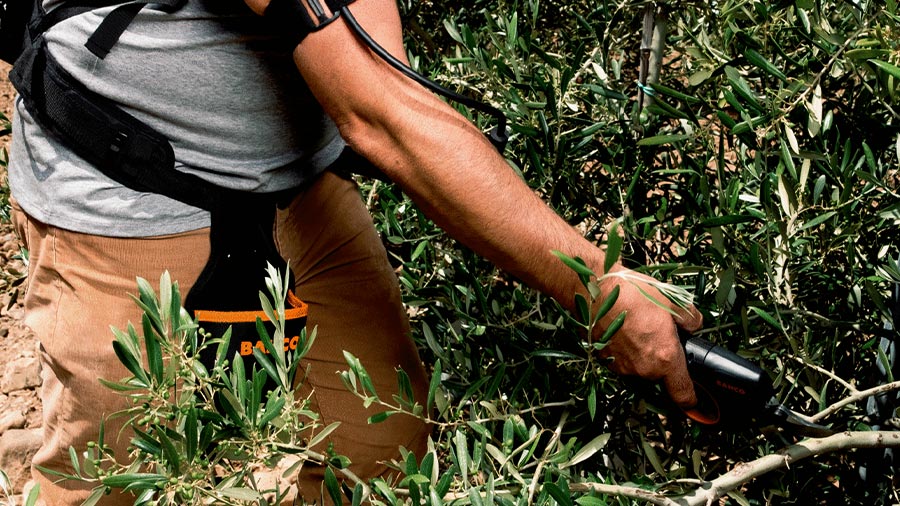 sécateur électrique 45 mm BCL24 Bahco sécateur électrique 45 mm BCL24 Bahco